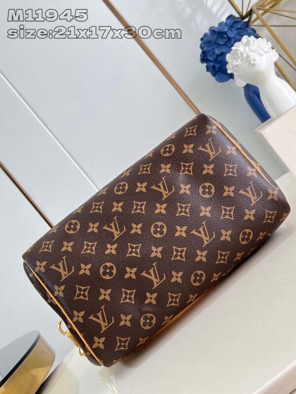 Louis Vuitton	Speedy Soft 30 Crafty