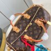 Louis Vuitton	Speedy Soft 30 Crafty