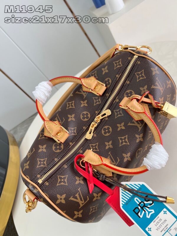 Louis Vuitton	Speedy Soft 30 Crafty