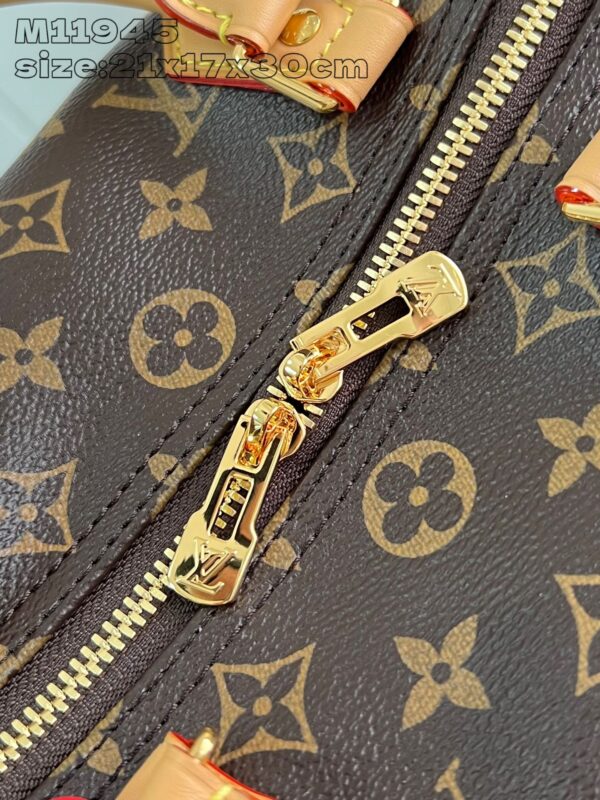 Louis Vuitton	Speedy Soft 30 Crafty