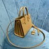 YSL SAC DE JOUR NANO BAG