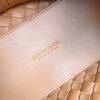 Bottega Veneta MEDIUM ANDIAMO Bag