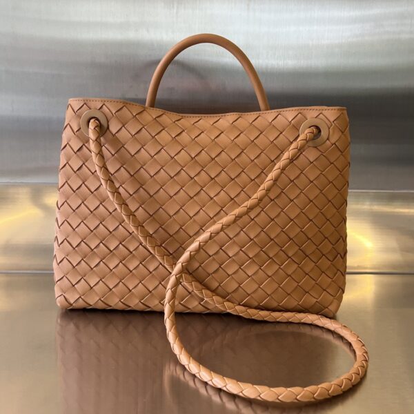Bottega Veneta MEDIUM ANDIAMO Bag