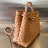 Bottega Veneta MEDIUM ANDIAMO Bag