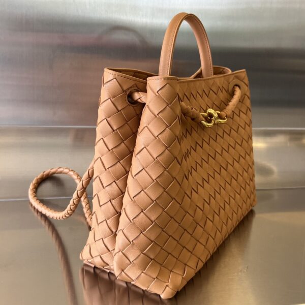 Bottega Veneta MEDIUM ANDIAMO Bag