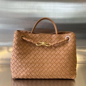 Bottega Veneta MEDIUM ANDIAMO Bag