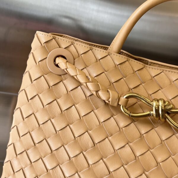 Bottega Veneta MEDIUM ANDIAMO Bag
