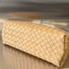 Bottega Veneta MEDIUM ANDIAMO Bag