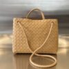 Bottega Veneta MEDIUM ANDIAMO Bag