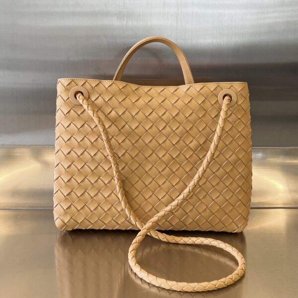Bottega Veneta MEDIUM ANDIAMO Bag