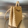Bottega Veneta MEDIUM ANDIAMO Bag