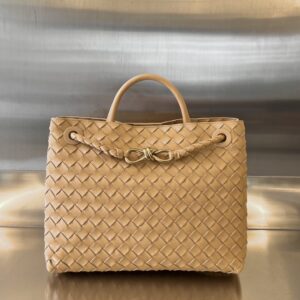 Bottega Veneta MEDIUM ANDIAMO Bag