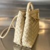 BOTTEGA VENETA BV Small Andiamo