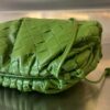 BOTTEGA VENETA Mini Pouch