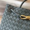 BOTTEGA VENETA MEDIUM ANDIAMO Bag