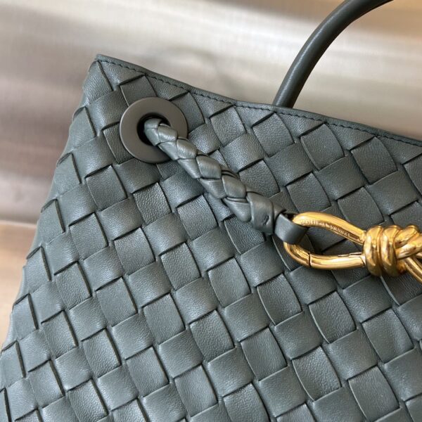 BOTTEGA VENETA MEDIUM ANDIAMO Bag
