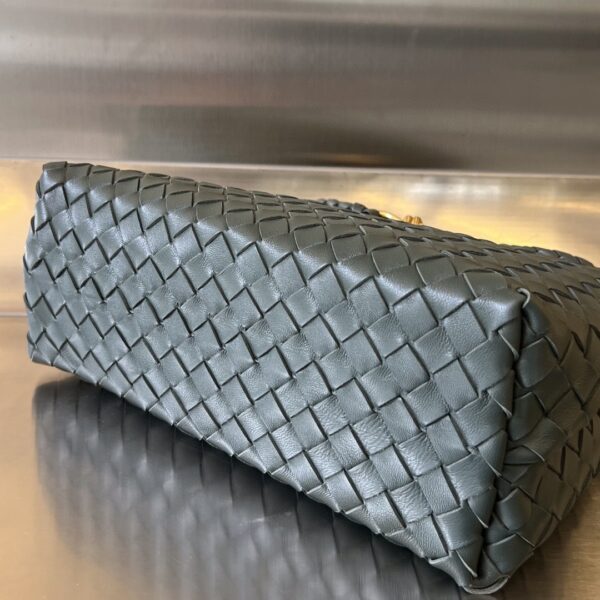 BOTTEGA VENETA MEDIUM ANDIAMO Bag