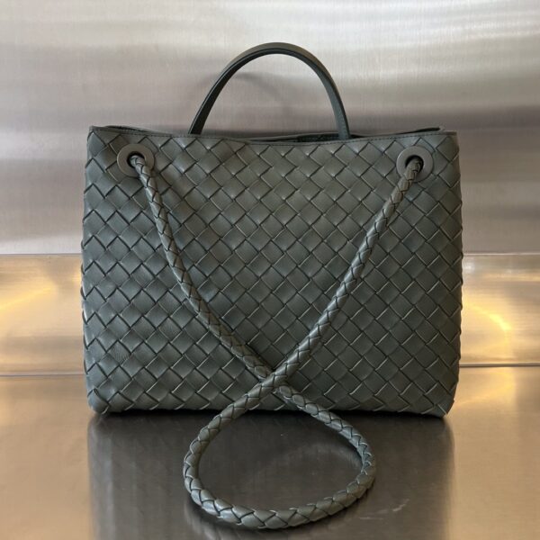 BOTTEGA VENETA MEDIUM ANDIAMO Bag