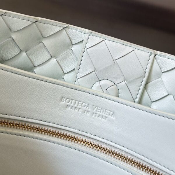 BOTTEGA VENETA MEDIUM ANDIAMO Bag