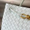 BOTTEGA VENETA MEDIUM ANDIAMO Bag