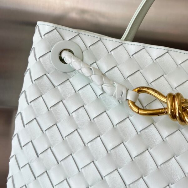 BOTTEGA VENETA MEDIUM ANDIAMO Bag
