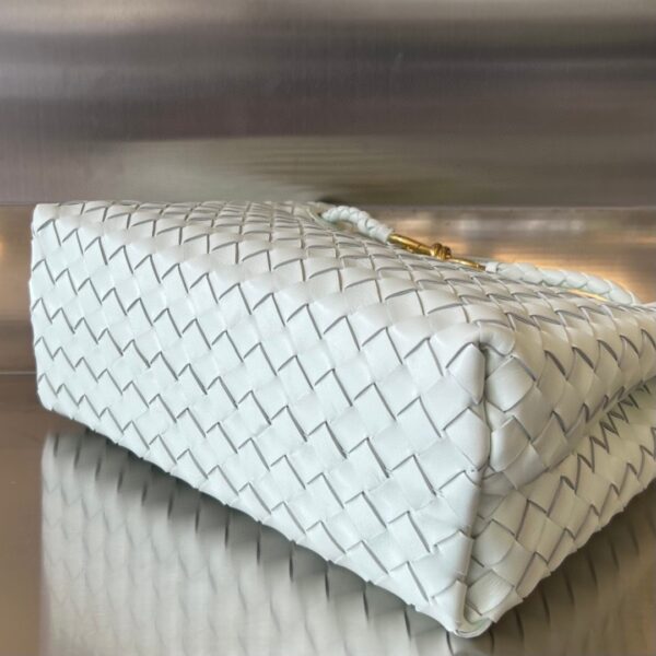 BOTTEGA VENETA MEDIUM ANDIAMO Bag