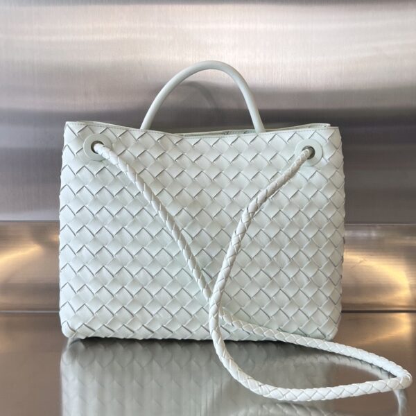 BOTTEGA VENETA MEDIUM ANDIAMO Bag