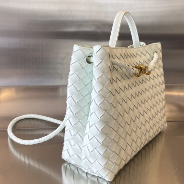 BOTTEGA VENETA MEDIUM ANDIAMO Bag