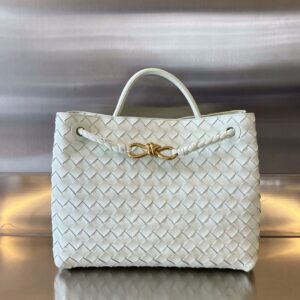 BOTTEGA VENETA MEDIUM ANDIAMO Bag