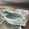 BOTTEGA VENETA BV Small Andiamo