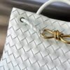 BOTTEGA VENETA BV Small Andiamo