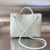 BOTTEGA VENETA BV Small Andiamo