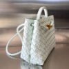 BOTTEGA VENETA BV Small Andiamo