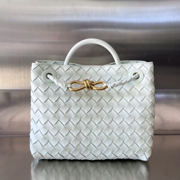 BOTTEGA VENETA BV Small Andiamo
