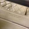 Bottega Veneta MEDIUM ANDIAMO Bag