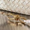 Bottega Veneta MEDIUM ANDIAMO Bag