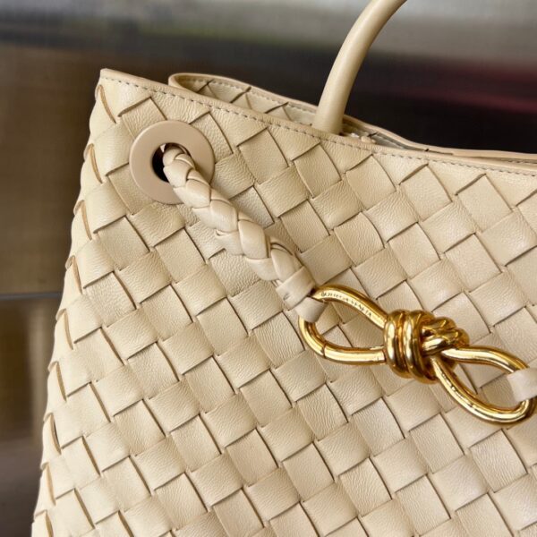 Bottega Veneta MEDIUM ANDIAMO Bag