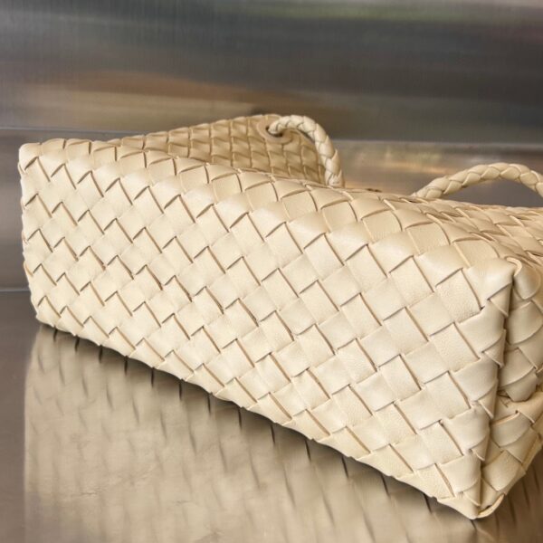 Bottega Veneta MEDIUM ANDIAMO Bag