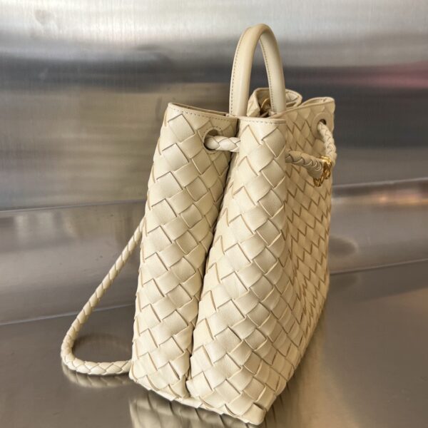 Bottega Veneta MEDIUM ANDIAMO Bag