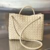 Bottega Veneta MEDIUM ANDIAMO Bag