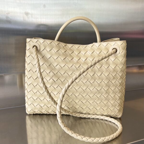 Bottega Veneta MEDIUM ANDIAMO Bag