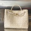 Bottega Veneta MEDIUM ANDIAMO Bag