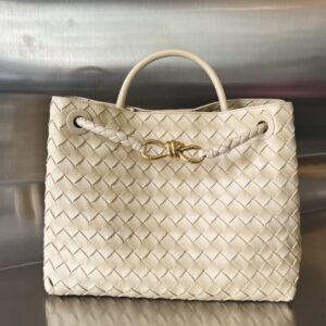 Bottega Veneta MEDIUM ANDIAMO Bag