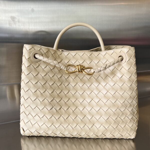Bottega Veneta MEDIUM ANDIAMO Bag