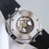 Audemars Piguet Watch