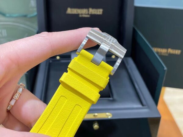 Audemars Piguet Watch