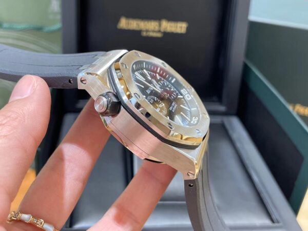 Audemars Piguet Watch