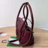 Bottega Veneta The Arco Mini