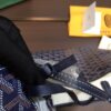 Goyard Saint Louis PM Tote Bag