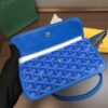 Goyard Saint Louis PM Tote Bag
